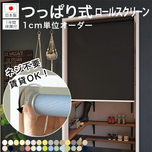 yȒPݒuzς胍[XN[ I[_[ n ˂ lWsv @H { 1cmP 30F  sv [J[e Ԏd؂ ډB