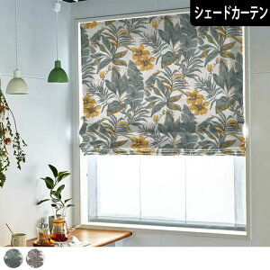 y4000~N[|zzzVF[hJ[e oii[t O[  O[ {^jJ t gsJ 썑 nCA pJ[e