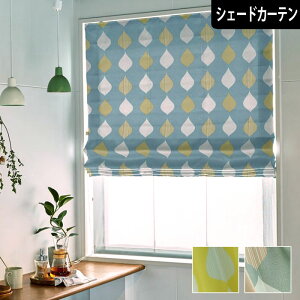 y4000~N[|zzzVF[hJ[e VG I[_[ Ռ k JWA 킢 i` O[ CG[u[ pJ[e 