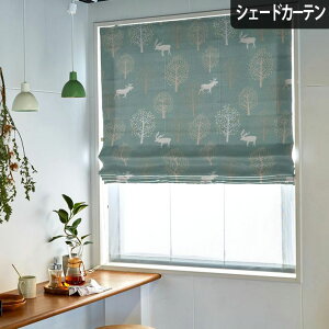 y4000~N[|zzzVF[hJ[e qbe  `L Ռ  k JWA 킢  i` O[ O[ u[ x[W pJ[e