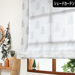 VF[hJ[e [XJ[e bN I[_[ [}VF[h   UVJbg ՔM k ؕ  킢 i`