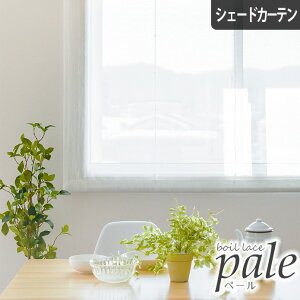 y4000~N[|zzzVF[hJ[e [XJ[e y[ I[_[   o [}VF[h  킢 n zCg  n {C[X { Vv 􂦂 