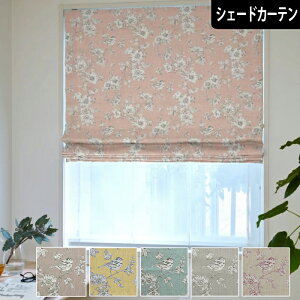 y4000~N[|zzzVF[hJ[e Vr[[Y ԕ o   Vr[VbN GKg 킢 ՌJ[e CG[Cbh O[ u[u[  F p