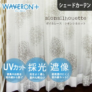 VF[hJ[e [XJ[e VIVGbg I[_[   [}VF[h UVJbg ԕ  킢 k  zCg 