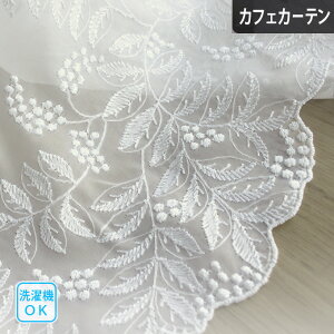 y4000~N[|zzzJtFJ[e gR[X \tg[uX  ς_ |[ʂ I[_[TCY AC{[ hJ gRhJ hJ[X 