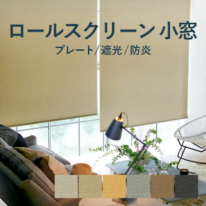 y11/1IP10{{250~OFFN[|z[XN[ TOSOyv[g ^CvzTRS6198-6203  10`120cm× 10`240cm h Ռ EHbVu J[6F / rollscreen [J[e 1cmP 