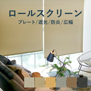 y11/1IP10{{250~OFFN[|z[XN[ TOSOyv[g W^CvzTR6198-6203  30`270cm× 10`350cm h EHbVu Ռ J[6F L / rollscreen [J[e 1cmP