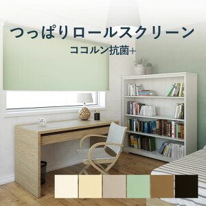 _16܂ŁISiP3{1000~N[|^ς [XN[ @H yRR Rہ{z TR-1201-1206  250`1800mm× 300`2000mm J[6F / cbp [J[e ˂ [