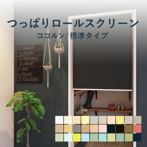 ς [XN[ @H yRR x[VbNz TR-1001-1030  250`1800mm× 300`2000mm J[30F / cbp [J[e 1mmP I[_[ {