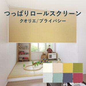 _SiP5{1000~N[|^ς [XN[ @H yNIG vCoV[z TR-1081-1088  250`1800mm× 300`2000mm J[8F / cbp [J[e 1mmP I[_[ 