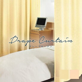 オーダーカーテン シンコール【マリスG TA-6124-6125】防炎 洗える 非遮光(採光) 防汚 消臭 制菌 抗菌 SEK カラー 2色 / カーテン オーダー オーダーメイド ドレープ タッセル付き フック付き フラワー ボタニカル 花柄 エレガント カフェカーテン 出窓 タクト