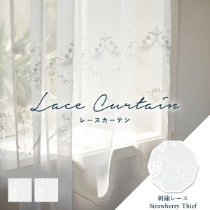 VKfځI[_[J[e [XJ[e 쓇DZRyD_ MM5962-5963z􂦂 J[ 2F / J[e I[_[ I[_[Ch [X tbNt L pڂȂ V[