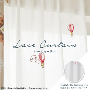 I[_[J[e [XJ[e X~mGyo[gbv MAK-P1049z􂦂 J[ 1F / J[e I[_[ I[_[Ch [X tbNt hJ JWA JtFJ[e o 