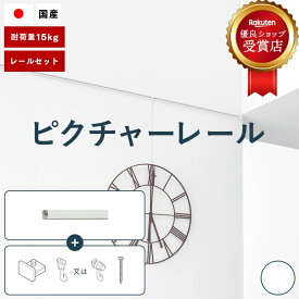 【5/7まで！全品ポイント3倍！】ピクチャーレール TOSO 《L-1》 セット 2m 耐荷重 15kg ホワイト 規格サイズ 天井付・正面付 後付け Lシリーズ / ピクチャー レール 取り付け 壁掛け 絵画 写真 ギャラリー 施設 展示会 写真展 おしゃれ トーソー