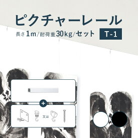 ピクチャーレール TOSO 《T-1》 セット 1m 耐荷重 30kg ホワイト ブラック 規格サイズ 天井付・正面付 後付け Tシリーズ / ピクチャー レール 取り付け 壁掛け 絵画 写真 ギャラリー 施設 展示会 写真展 おしゃれ トーソー