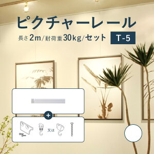 y11/1IP10{{250~OFFN[|zsN`[[ TOSO sT-5t Zbg 2m ω׏d 30kg zCg KiTCY VtEʕt t TV[Y / sN`[ [ t Ǌ| G ʐ^