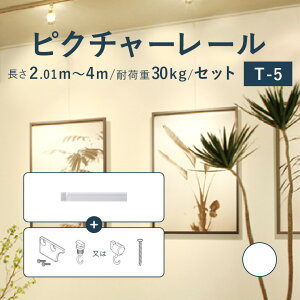 sN`[[ TOSO sT-5t Zbg 2.01~4m ω׏d 30kg zCg I[_[TCY VtEʕt t TV[Y / sN`[ [ t Ǌ| G ʐ^ M[ { W 