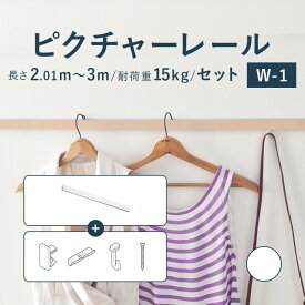 ピクチャーレール TOSO 《W-1》 セット 2.01～3m 耐荷重 15kg ホワイト オーダーサイズ 正面付 後付 Wシリーズ / ピクチャー レール 取り付け 壁掛け 絵画 写真 ギャラリー 施設 展示会 写真展 おしゃれ トーソー