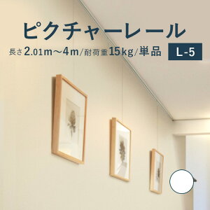 _ P5{1000~N[| ^sN`[[ TOSO sL-5t Pi 2.01`4m ω׏d 15kg zCg I[_[TCY VtEʕt t LV[Y / sN`[ [ t Ǌ| G ʐ^ M