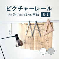 ピクチャーレールS1単品2m