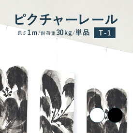 【6/11 2時まで！クーポン利用で最大1000円OFF！】ピクチャーレール TOSO 《T-1》 単品 1m 耐荷重 30kg ホワイト ブラック 規格サイズ 天井付・正面付 後付け Tシリーズ / ピクチャー レール 取り付け 壁掛け 絵画 写真 ギャラリー 施設 展示会 写真展 おしゃれ トーソー