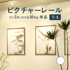 sN`[[ TOSO sT-5t Pi 2m ω׏d 30kg zCg KiTCY VtEʕt t TV[Y / sN`[ [ t Ǌ| G ʐ^ M[ { W ʐ^W 