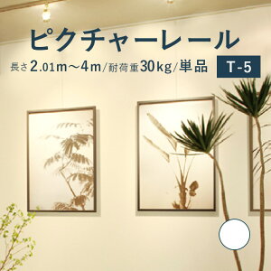 sN`[[ TOSO sT-5t Pi 2.01~4m ω׏d 30kg zCg I[_[TCY VtEʕt t TV[Y / sN`[ [ t Ǌ| G ʐ^ M[ { W ʐ^