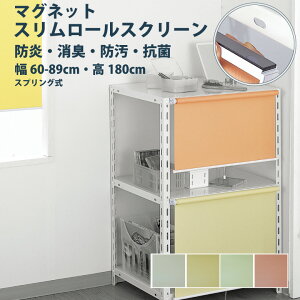 y12/1IP10{{250~OFFN[|z[XN[ tlXyX[XN[ }Olbg^Cvz 60`89× 180cm h L h Rی / lWsv  rollscreen [J