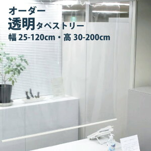 �_�S�iP5�{��1000�~�N�[�|���^���[���X�N���[�� �^�`�J���u���C���h �y�����^�y�X�g���[ �I�[�_�[�z �� 25�`120cm×���� 30�`200cm �J���[1�F �h�� / rollscreen ���[���J�[�e�� 1cm�P�� �I�[�_�[ �ȒP