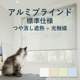 アルミブラインド 立川機工【ファーステージ 標準仕様 つや消し遮熱+光触媒】幅 15cm〜260cm×高さ 11cm〜300cm 羽幅 25mm カラー4色 / アルミ ブラインド 取付け つや消し遮熱+光触媒 1cm単位 オーダー