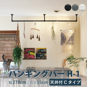 nMOo[ TOSOyH-1 Vt C^CvZbgz 278cm×15cm KiTCY ω׏d 10kg zCg ubN O[ J[3F Vt H-1V[Y / nK[pCv h[o[ fBXv