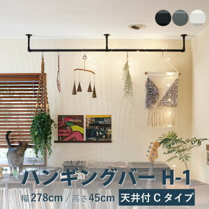 nMOo[ TOSOyH-1 Vt C^CvZbgz 278cm×45cm KiTCY ω׏d 10kg zCg ubN O[ J[3F Vt H-1V[Y / nK[pCv h[o[ fBXv