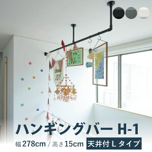 nMOo[ TOSOyH-1 Vt L^CvZbgz 278cm×15cm KiTCY ω׏d 10kg zCg ubN O[ J[3F Vt H-1V[Y / nK[pCv h[o[ fBXv