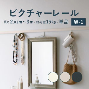 sN`[[ TOSO sW-1t Pi 2.01`3m ω׏d 15kg }bgzCg O[W ubN I[_[TCY ʕt t WV[Y / sN`[ [ t Ǌ| G ʐ^ M[