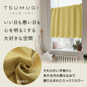 yAEgbgzy{z TSUMUGI `LJtFJ[e n @n @@11F@F@1Ռ h  ȃGl ډB@Ԏd؂ fM h@`LiS^v[c