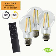 エジソン電球A60 フィラメント 調光調色 LED電球 E26ハウス球型6W リモコン付き60W相当 電球色 昼光色 タ…