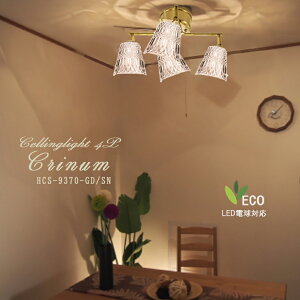 V[OCg 4  VƖ  킢 CeA X|[gCg LEDΉ [Cg V k i` Vv rO _CjO  Lb` AeB[N
