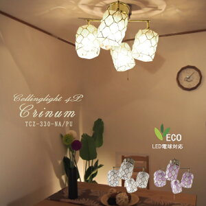 V[OCg 4  VƖ  킢 CeA X|[gCg LED [Cg V k i` Vv rO _CjO  Lb` AeB[N _