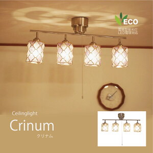 V[OCg 4  VƖ  킢 CeA X|[gCg LED [Cg V k i` Vv rO _CjO  Lb` AeB[N _