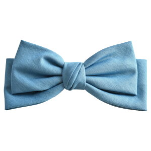 _300~N[|L^ { ob^ |j[tbN wAS wAANZT[ y䂤[֑z fj fB[X 傫  񎟉 p[eB JWA 킢 ( fj