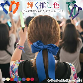 ＼500円クーポン有／ リボン バレッタ ヘアゴム ポニーフック 推し活 ライブ 現場 推し色 参戦 ヘアアクセサリー 髪飾り ヘアリボン 【ゆうメール便送料無料】 大きめ ロング 20代 30代 40代 ゴルフ レディース ( 推し活リボンバレッタ＆ゴム＆ポニーフック )
