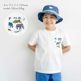 綿100％ キューズベリー BIGシルエット ポケット 半袖Tシャツ 子供服 キッズ ベビー服 男の子 女の子 Tシャツ トップス