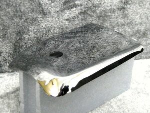 z[N@^N@W@bL@p^Np@/@CB250T CB400T t[G^N@K\^N