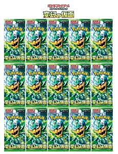 ό̉ʁ@15pbN@/@|PJ[hQ[@gpbN