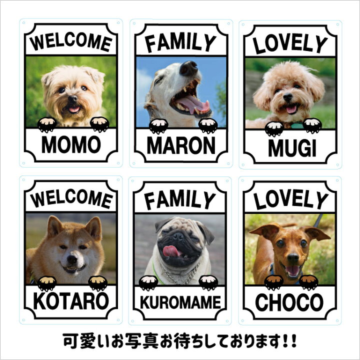 楽天市場】DOG 犬 看板 プリント カスタム オリジナル プレート 36cm 