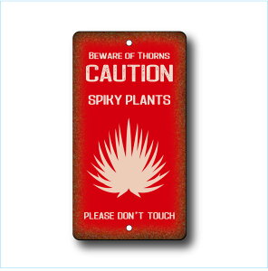 K[fTCv[g hCK[f 23cm12.5cm SPIKY PLANTS cRD