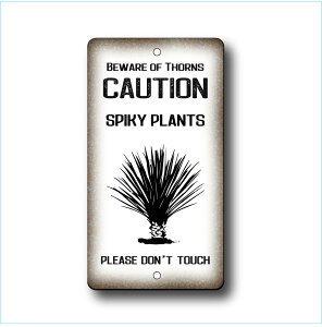 K[fTCv[g hCK[f 23cm12.5cm SPIKY PLANTS cWH