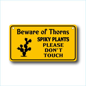 K[fTCv[g hCK[f 23cm12.5cm SPIKY PLANTS YE