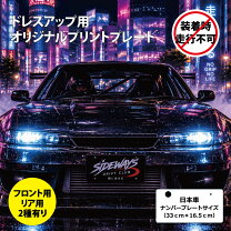 楽天市場】ナンバー 隠しの通販