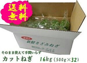 ねぎの人気商品 通販 価格比較 価格 Com